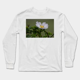 Raindrops on English Dog Rose Long Sleeve T-Shirt